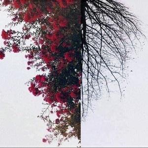 Temporar (Instrumental) (Instrumental)