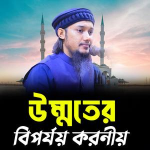 উম্মতের বিপর্যয় করনীয় । আবু ত্বহা মুহাম্মদ আদনান