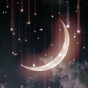 白月光与朱砂痣（翻自 群星）