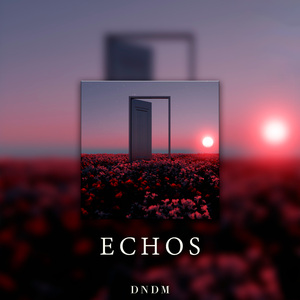 Echos