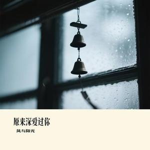 原来深爱过你