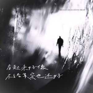 看起来不错其实也还好