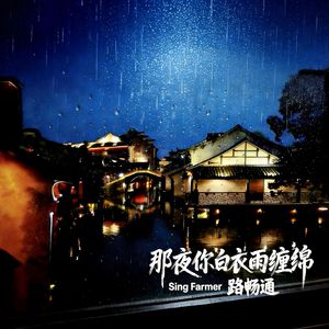 那夜你白衣雨缠绵