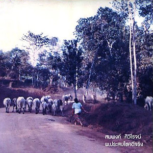 ดาวจางๆน้ำค้างน้ำตา