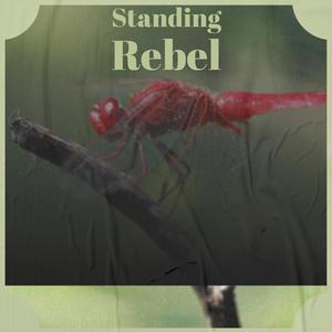 Curtseying