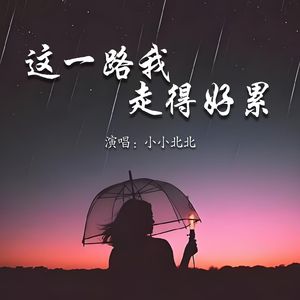 这一路我走得好累