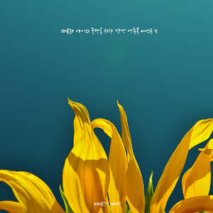 천사들의 자장가