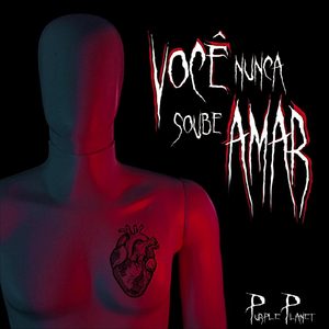 Você Nunca Soube Amar