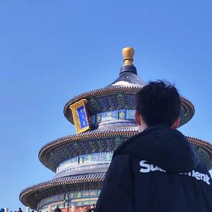 就让我在春风沉醉的夜晚老去