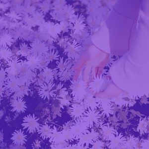 温和周日的早午餐梦想