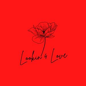 Lookin 4 Love