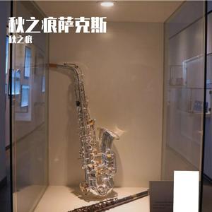 粉红豹（萨克斯秋之痕版）