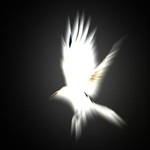 Crow