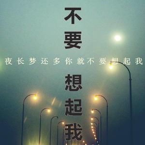 这一生关于你的风景(现场版)