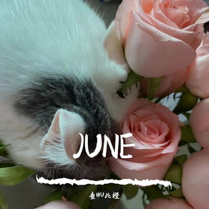 囍贴街(翻自 谢安琪)