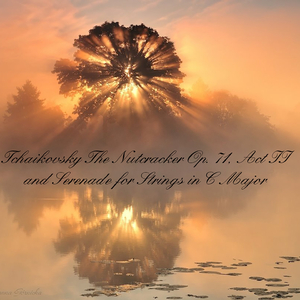 Serenade for Strings Orchestra, Op. 71: II. Walzer. Moderato, Tempo di Valse