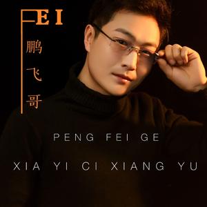 鹏飞哥-过往多年（ 纯伴奏） 伴奏