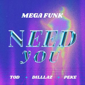Mega Funk Need You
