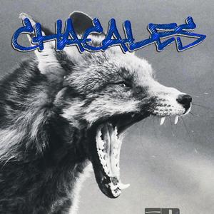 Chacales