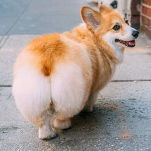 Body Language (slowed)