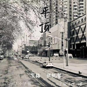 平顶山（正式版）