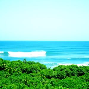 Hemolele AMAMI HAWAII