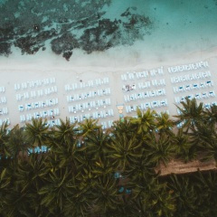 最灿烂的天空城 (钢琴曲)