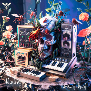 Paranoid Droid (Original Mix)