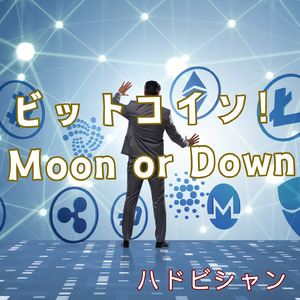ビットコイン！Moon or Down