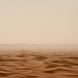 Sand Run