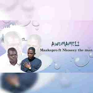 Awumameli