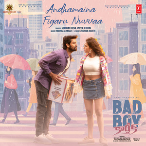 Andhamaina Figaru Nuvvaa (From "Bad Boy Karthik")