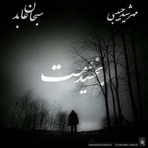 Bakhshidamet (feat. Sobhan Abed)