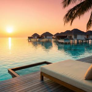 Tropical Solitude