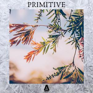 Primitive