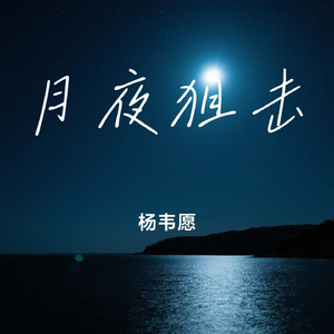 月夜狙击