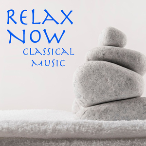 Chopin Sonata for Piano No. 2 in B flat minor, Op 35, 1