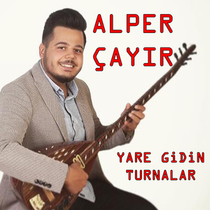 Yare Gidin Turnalar