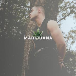 Marijuana (feat. ahmxr.)