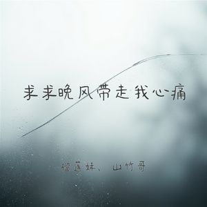 求求晚风带走我心痛(对唱版)