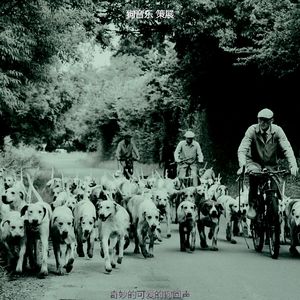 抚慰的训练犬回忆