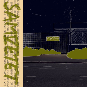 Sprickan du satte i mig