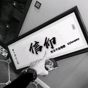 虎二-DJ你应该很快乐（DJAorspeny / 司令不会唱歌 remix）