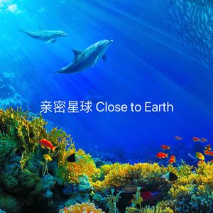 冰冻海洋 Frozen Ocean