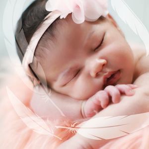 বন্ধুত্ব