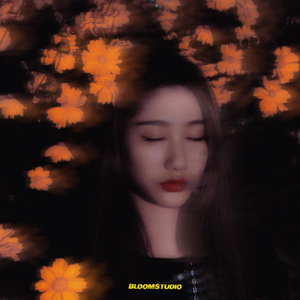 花只开了一个晚上