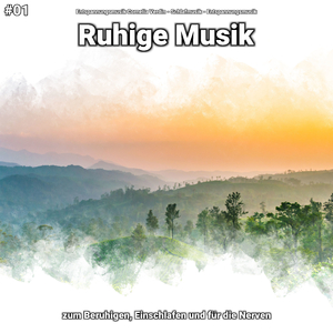 Ruhige Musik, Pt. 24