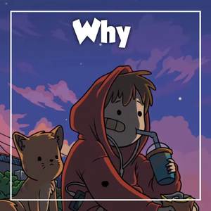 Why (Lofi Remix)