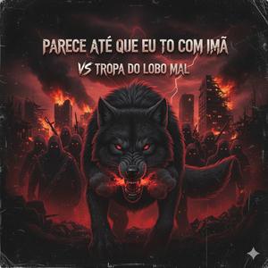 Parece até que eu to com imã vs Tropa do Lobo Mal (feat. Dj RW do Roseiral)