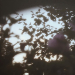Sunlight Taken by the Emerald Reflektor